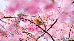 壁画 壁纸 头像 世界风景 旅游景色 背景图 #头像# #背景图# #小清新# #治愈系#