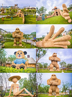 一博小雷达采集到稻草