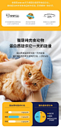 SolidGold素力高金装猫粮金丽高进口天然无谷鸡肉幼猫成猫主粮 12磅/5.4kg全猫粮（加版）【图片 价格 品牌 报价】-京东 _产品对比板块_T2021113 