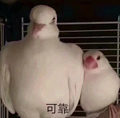 小静子zj采集到表情包