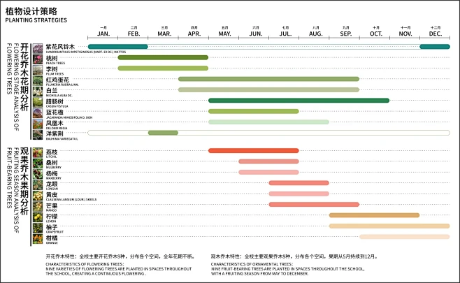 共创共享 • 生态自然的立体校区|广州南...