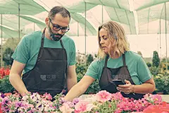 两个认真的园丁选择牵牛花拍照