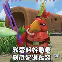 探探猫表情包：仿佛听见背后有人说我......帅！08