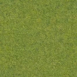 aerial grass short