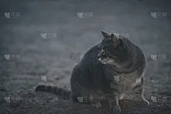 聊天吗?l’aff ?t