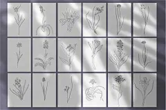 72505点击图片可下载 优雅白描临摹线稿手绘植物花卉线设计AI矢量海报包装插图装饰素材 (3)