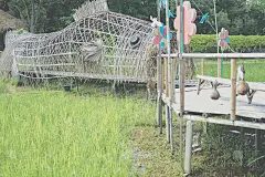 泰国清迈Rajapruek皇家公园的稻田和竹人行桥_5211683339