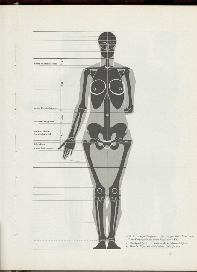 《艺用人体解剖学》