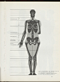 《艺用人体解剖学》