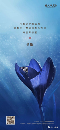 清酒下美人采集到意境