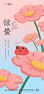 惊蛰二十四节气手机新媒体节气海报图片下载