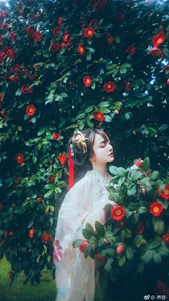 西洲美人 - 堆糖，美图壁纸兴趣社区