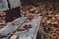 Life-of-Pix-free-stock-photos-leaf-wood-bench-AnnieSpratt