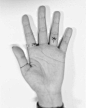 Palm Breeze - Fresh And Creative Finger Tattoos - Photos