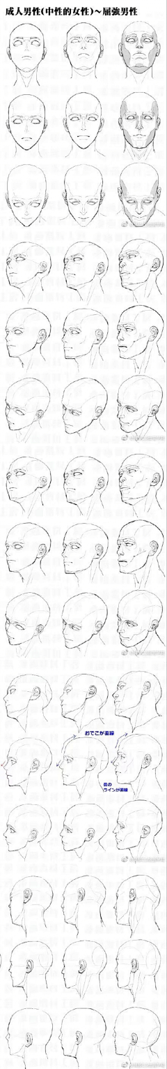 i0w0ii采集到女 人体结构