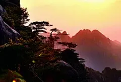 黄山景点云海壁纸