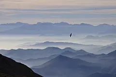 mountains-3699372
高山水墨-电脑壁纸