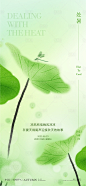 处暑海报-素材库-sucai1.cn
