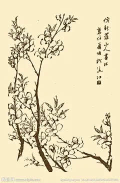 芥子园画谱 桃花大图 点击还原