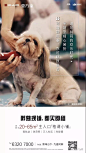 商铺