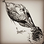 @aaronhorkey • Instagram photos and videos : Rural Midwest