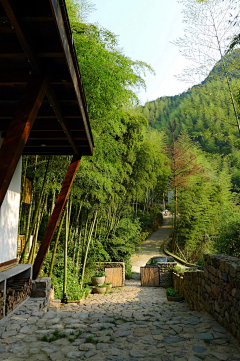 闵波路三舅采集到风景