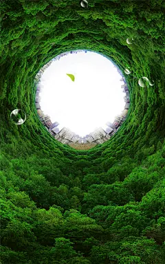 采集图片