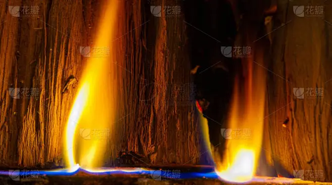 在壁炉里生火当我们发现某人有魅力时，瞳孔就会扩张，向对方发出下意识的信号。在篝火的温暖光线下，我们的-花瓣网