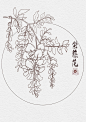 植物花卉线稿合集