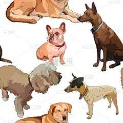 狗,可爱的,鲍沃,纯种犬,梗犬,肖像,巴哥犬,动物,杂种猫,绘制