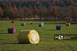 Group of colored straw bales