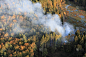 烧毁森林的航拍照片。秋天