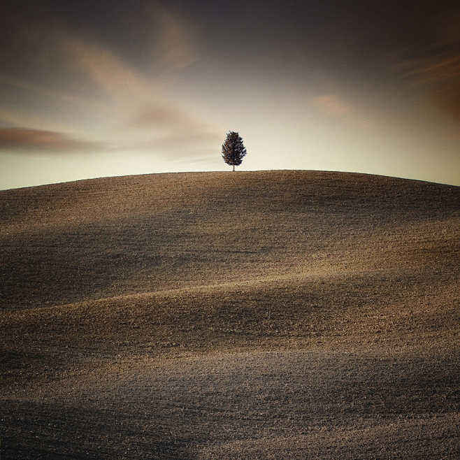 Lonely Tree by Carst...