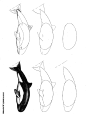 50种海洋动物画法-11