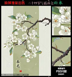 雨水二十四节气之雨水雨水节气二十四节气节气海报梨花手绘梨花梨花插画雨水海报雨水插画24节气海报二十四节气插画花卉手绘花卉