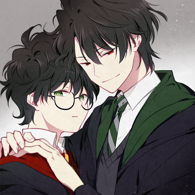 Harry Potter 哈利波特 伏哈 伏地魔 汤姆·里德尔