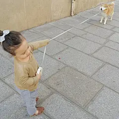 生个萝莉，然后再养只汪 #萌##壁纸# #哈士奇# #泰迪#