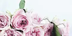 水彩--鸢尾花 - 高清图片，堆糖，美图壁纸兴趣社区