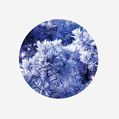 办公资源分享采集到节日节气