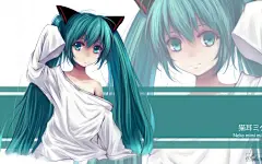 《初音未来》 桌面壁纸 _VOCALOID采下来 #率叶插件，让花瓣网更好用#