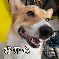 好开心