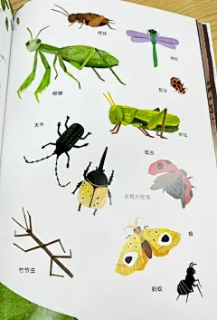 微信截图_20231107102031