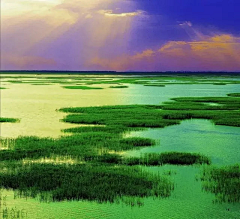 沐雨倾尘采集到风景如画