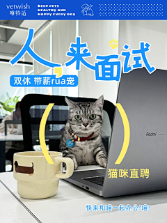 南乔·晚风采集到加盟、招聘海报