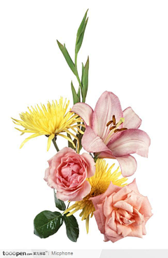 九小采集到h-花素材 水彩花 素描花 转手绘花 合成花 创意花 花摄影