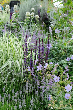 芊92采集到背景图