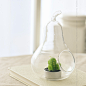 清新水晶玻璃摆件 梨子 水培瓶 烛台 创意花瓶 多肉植物 干花瓶