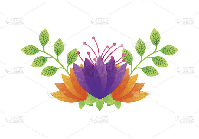 美丽的花朵设计