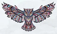 猫头鹰纹身插画素材
