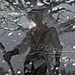 霜霸坨的照片 - 微相册